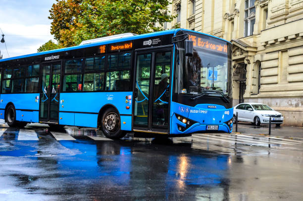 Public transport in the streets of Budapest. BUDAPEST, HUNGARY- 27 OCTOBER 2017: Public transport on the streets of Budapest on a rainy day. bus hungary stock pictures, royalty-free photos & images