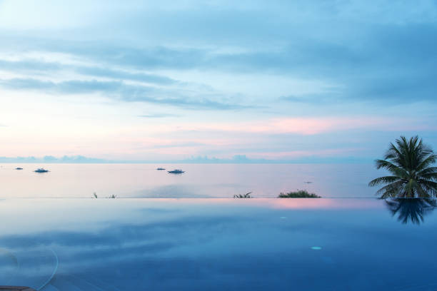 istock Tropical infinity pool in the morning 869286918