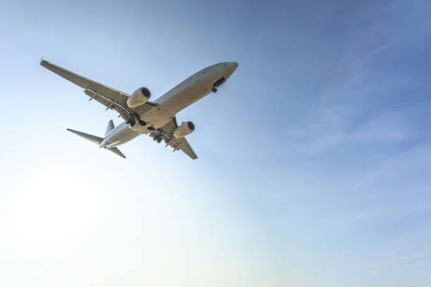 istock Night flight of a passenger jet airplane 869290368