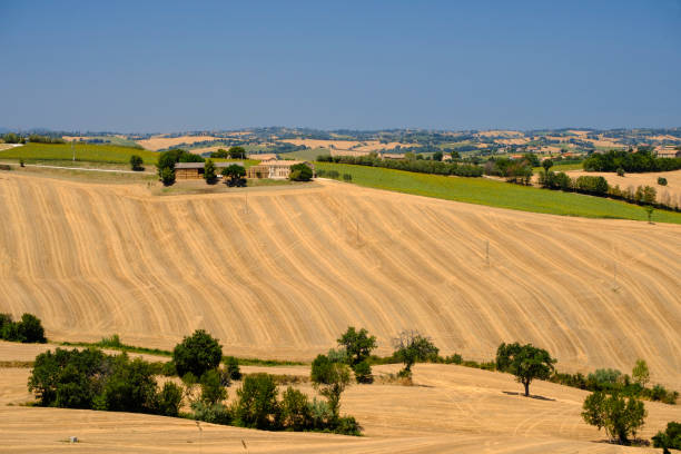 istock Summer landscape in Marches (Italy) near Ostra 869291630