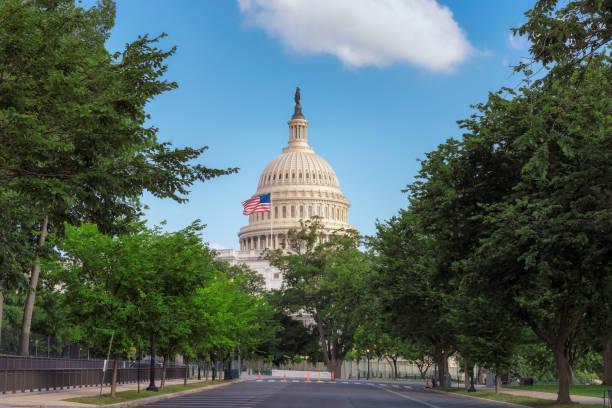istock The United States Capitol building 869295504