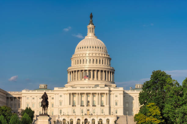 istock The United States Capitol building 869295624