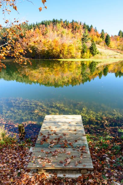 istock autumn leaves reflecting in the water 869301150