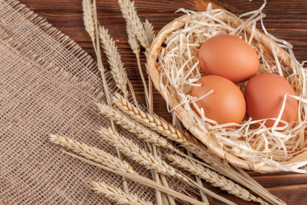 istock Chicken eggs horizontal banner. Eco farming concept. Red eggs and wheat ears on piece of sacking on brown wooden textured background. Organic food. 869303400