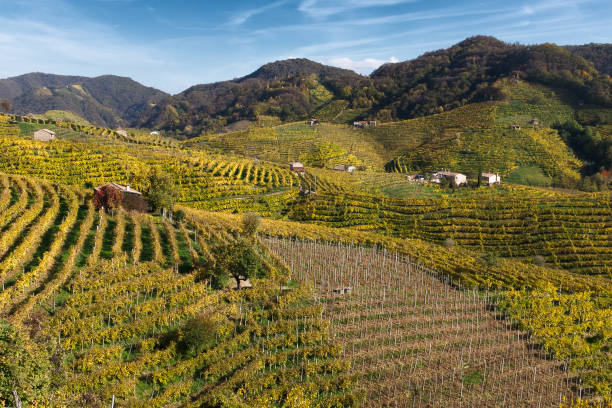 istock Autumn in Valdobbiadene hills,2 869310632