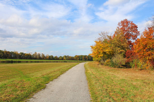 istock Bicycle path near river Vltava with autumn trees. Czech landscape. 869313558