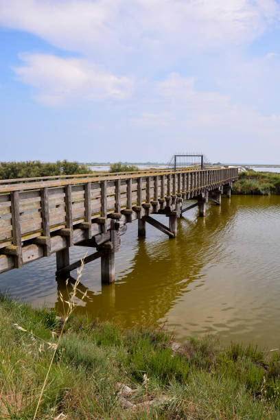 istock Landscape The Po Delta 869317698