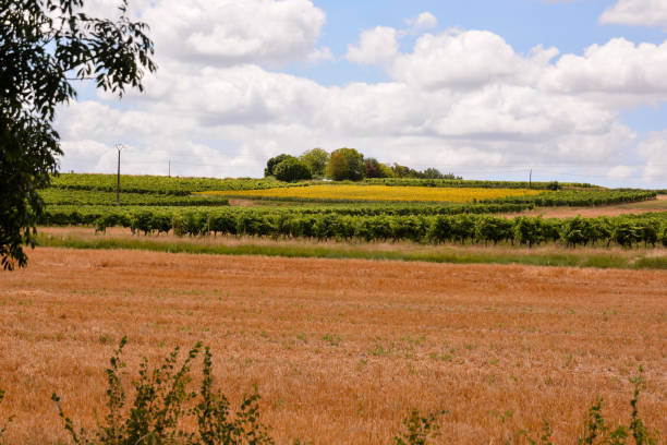 istock European natural countryside 869319050