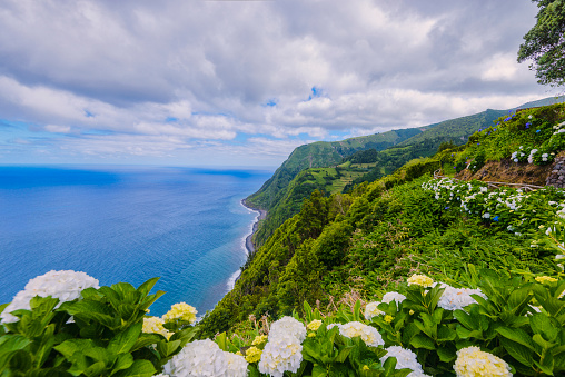 Coastline along hydragenia and dramatic landscape near Nordeste, Sao Miguel (Azores)