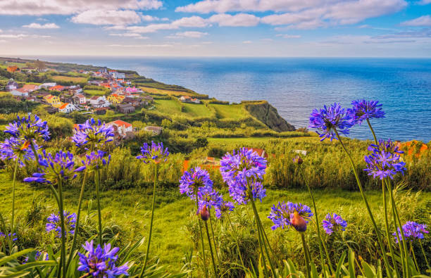 Porto Formoso on Sao Miguel, Azores View over farmland on the fishing village Porto Formoso (Ribeira Grande) on Sao Miguel , Azores san miguel portugal stock pictures, royalty-free photos & images