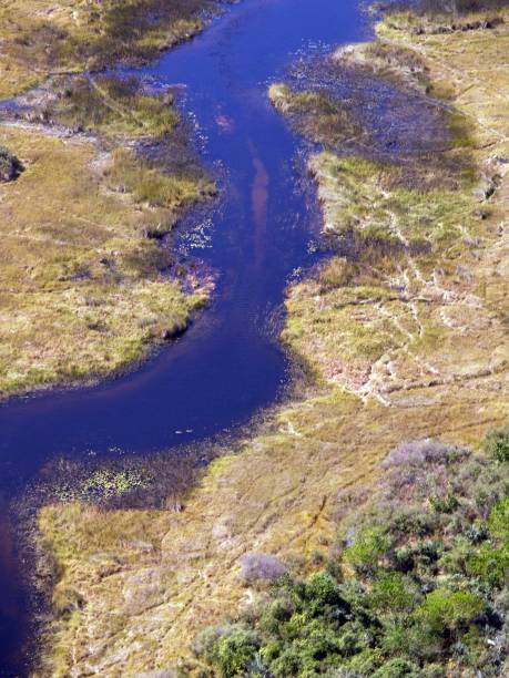 istock Aerial view of the Okavango Delta, Botswana 869321362