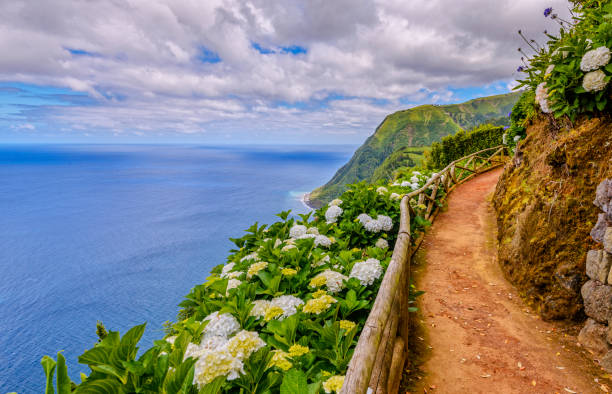 Hiking path along hydragenia and dramatic landscape near Nordeste, Sao Miguel (Azores) Hiking path along hydragenia and dramatic landscape near Nordeste, Sao Miguel (Azores) san miguel portugal stock pictures, royalty-free photos & images