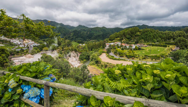 istock Furnas, Sao Miguel (Azores) 869329214