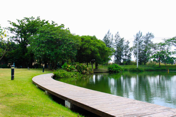 istock beautiful natural garden decorate view 869331454