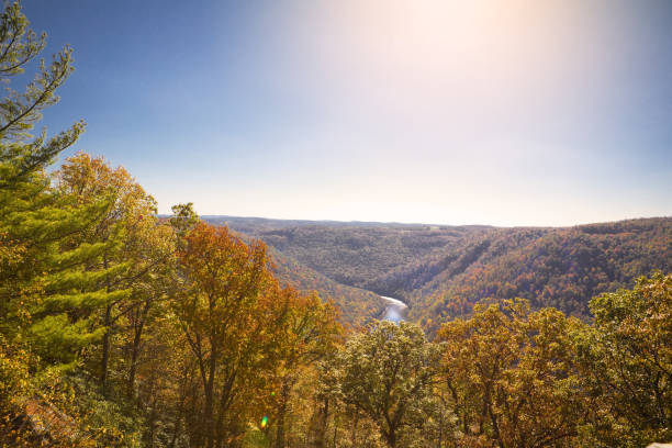istock Coopers Rock State Forest, West Virginia 869331498