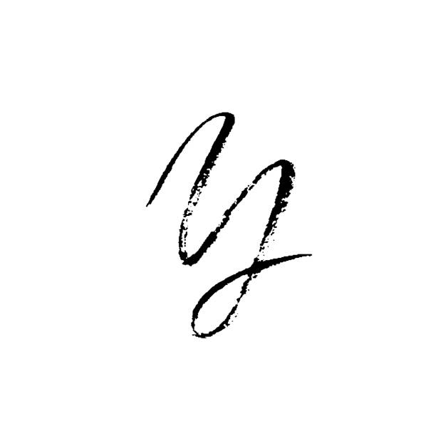 istock Hand painted letter Y. Dry brush modern lettering. Vector illustration. 869335042