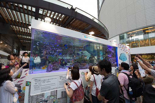 Tokyo, Japan - August 13, 2017: People look at tropical fish transported from Japan's southern island of Okinawa displayed in a giant fish tank at the Yurakucho event space in Tokyo. The exhibition display sea creatures common to the waters around Okinawa.