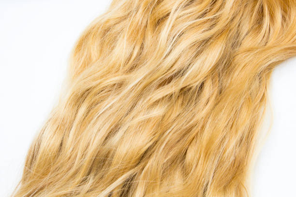 istock Blond hair isolated on white 869349314
