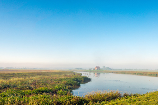 Rural landscape with a natural pond and a farmhouse in the Netherlands. It's early in the morning in the late summer season.