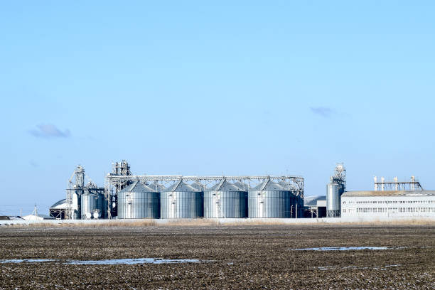 istock Plant for the drying and storage of grain 869352574