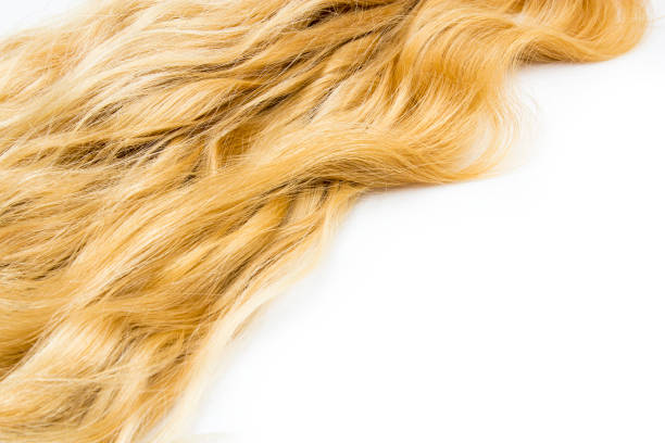 istock Blond hair isolated on white 869353418