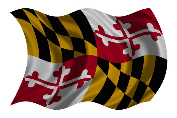 drapeau du maryland ondée sur la texture de tissu blanc, - maryland flag banner us state flag photos et images de collection