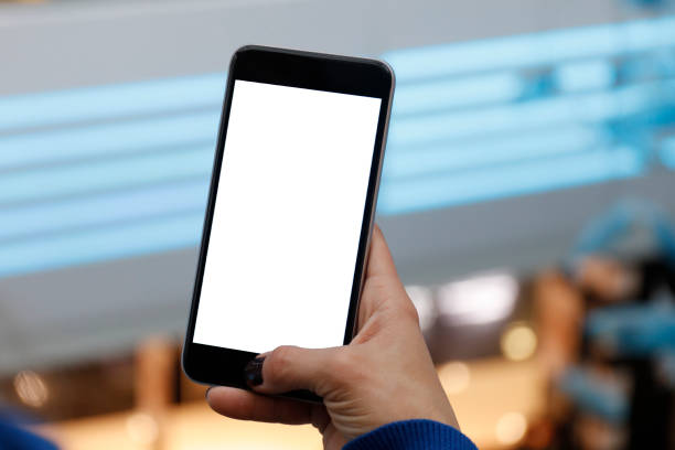 Woman hands holding and using smartphone with blank screen