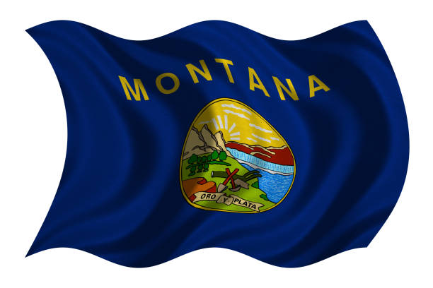 istock Flag of Montana wavy on white, fabric texture 869359978