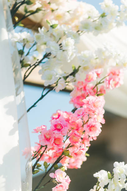 istock Sakura Flower Plastic Beautiful Background pink and white 869360904