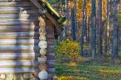 Wooden house in the autumn in the forest