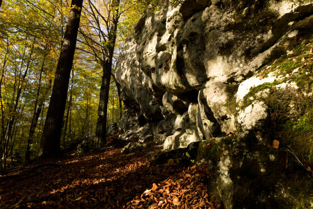 istock State park 'Orle Gniazda' 'Eagles nest', Poland 869372044