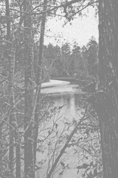 Sketch with woods trees river and bending river bank