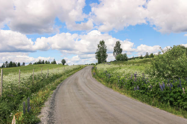 istock country road with plants in spring 869374964