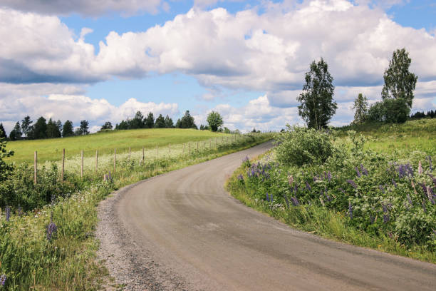 istock country road with plants in spring 869374972