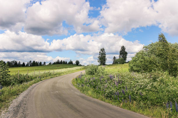 istock country road with plants in spring 869375192