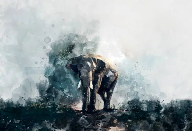 Photo of beautiful painting art watercolor elephant