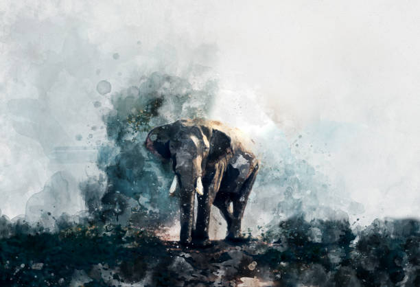 beautiful painting art watercolor elephant - animal print pictures imagens e fotografias de stock