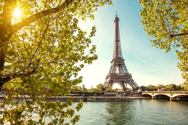 torre eiffel a parigi, francia - paris france eiffel tower architecture france foto e immagini stock