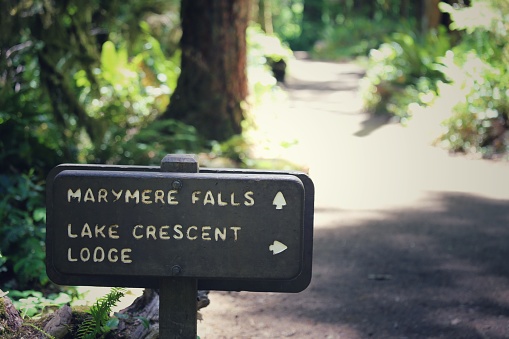 Marymere Falls Waterfall, Lake Crescent Lodge Sign,Olympic Park, Washington