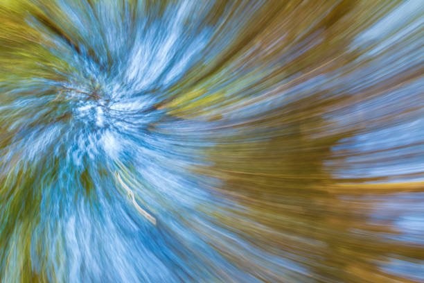 abstrakcyjne tło natury korony drzewa - sine wave flash zdjęcia i obrazy z banku zdjęć