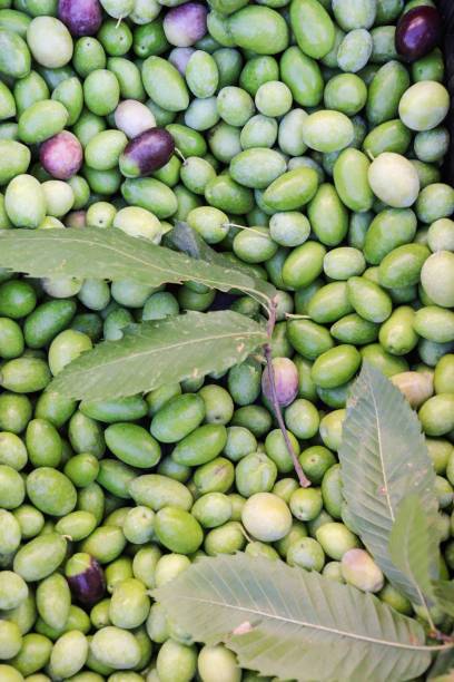 istock Green Olives Crop 869390338