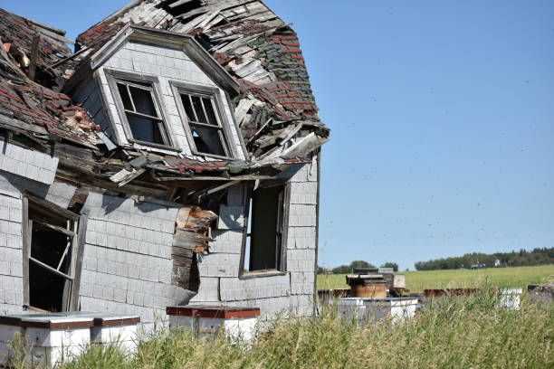istock Farmland, flowers and old buildings 869390772