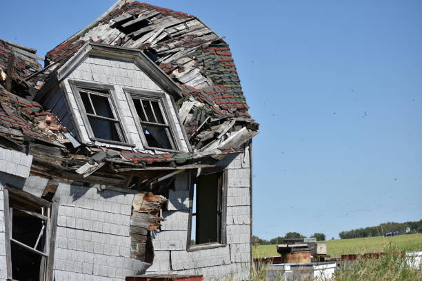 istock Farmland, flowers and old buildings 869391004