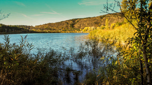 istock Lakeside morning at sunset 869391504