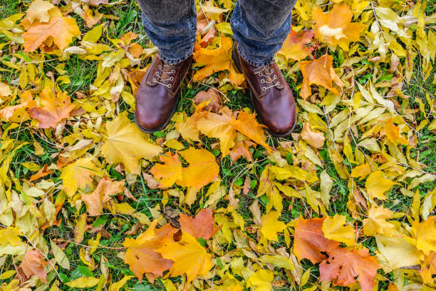 istock First-person view on feet in leather boots among fallen leaves 869394914
