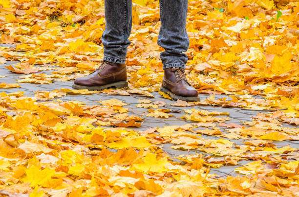 istock Walking on the autumn park background 869397300