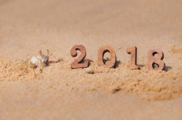 istock Wood number 2018 on beach background with ghost crab idea 869397604
