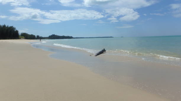 istock Beach of Thailand 869402104