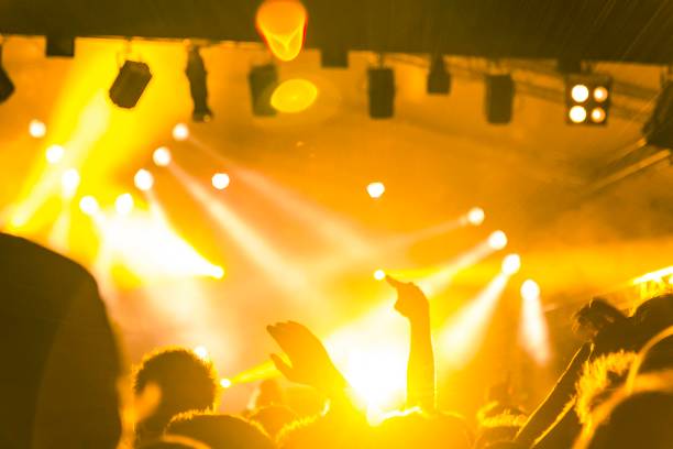 istock Concert crowd in front of a live stage 869402184