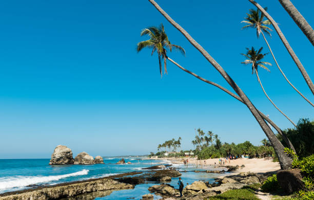 istock coast of indian ocean 869404680